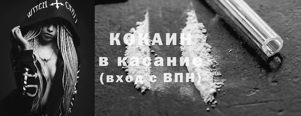 шишки Армянск