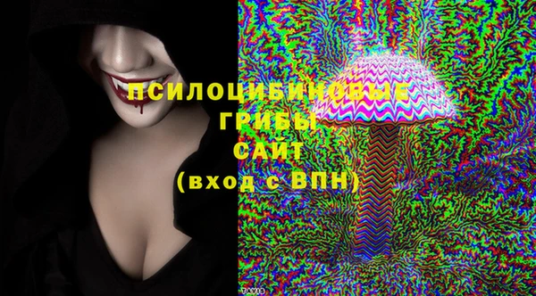шишки Армянск