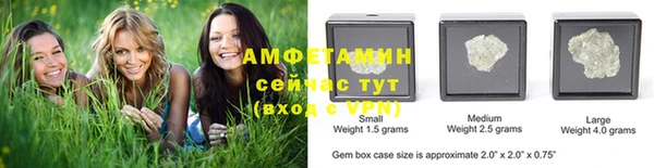 стафф Аркадак