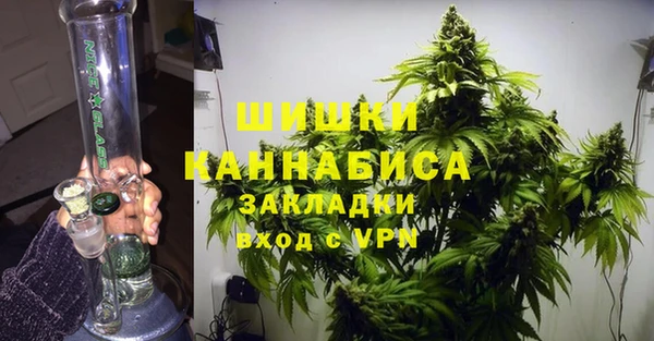 шишки Армянск