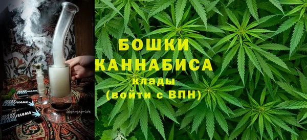 стафф Аркадак