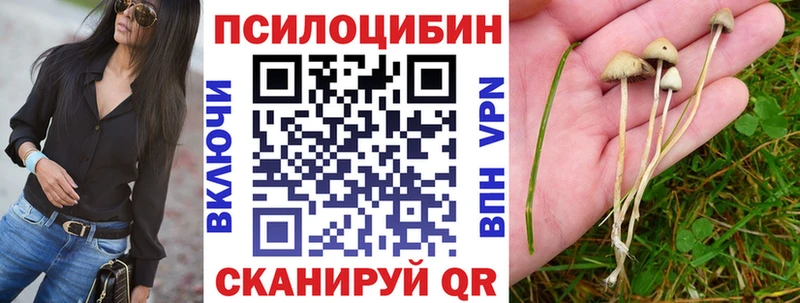 Галлюциногенные грибы Cubensis  Константиновск 